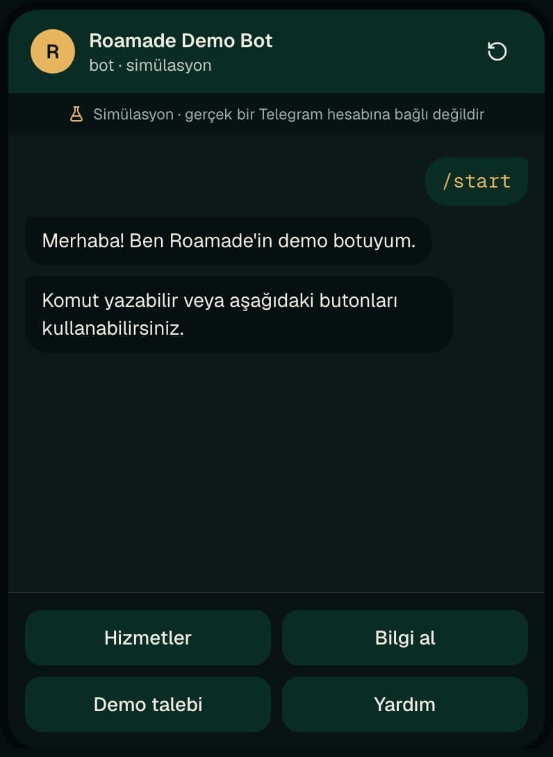 Telegram otomasyon botu: sohbet ekranı, Karşılama